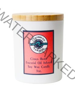 Citrus Burst Soy 3oz. Soy Candle