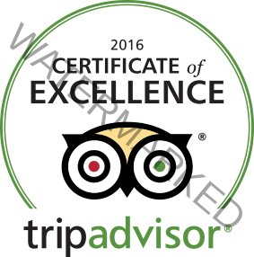 tripadvisor certificate of excellence