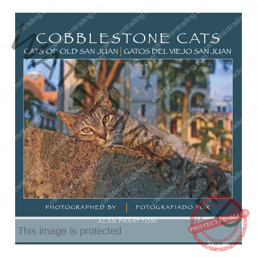 cats old san juan