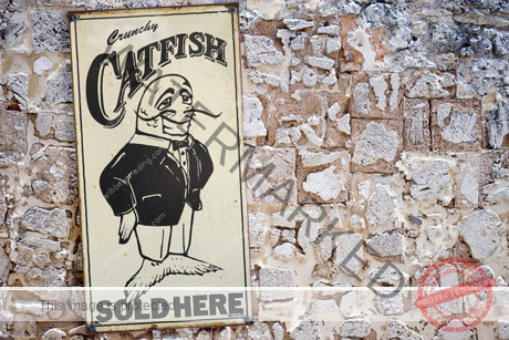 fried catfish recipe