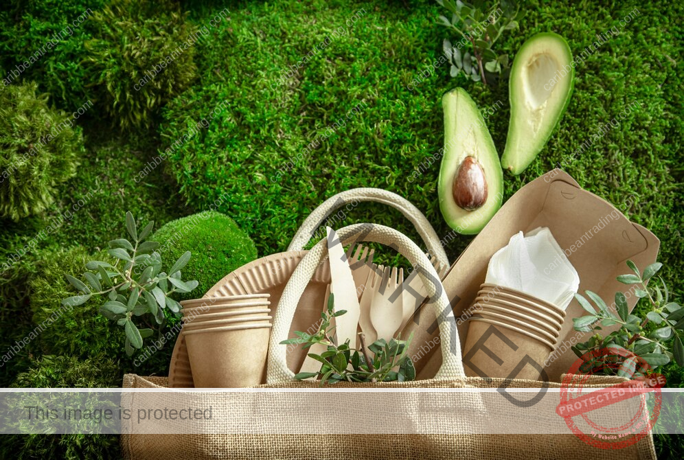 eco friendly travel products