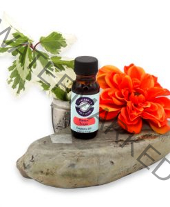 Brown Sugar Fragrance Oil 1/2 oz.