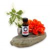 Caribbean Vanilla Fragrance Oil 1/2 oz.