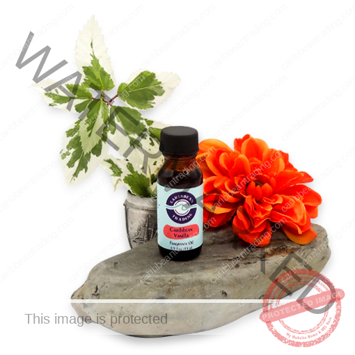 Caribbean Vanilla Fragrance Oil 1/2 oz.