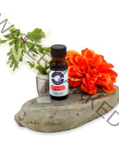 Coco Mango Fragrance Oil 1/2 oz.