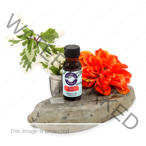 Coco Mango Fragrance Oil 1/2 oz.