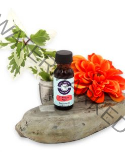 El Yunque Mist Fragrance Oil 1/2 oz.