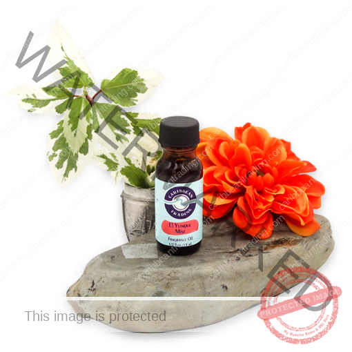 El Yunque Mist Fragrance Oil 1/2 oz.