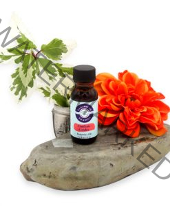 Gardenia Garden Fragrance Oil 1/2 oz.