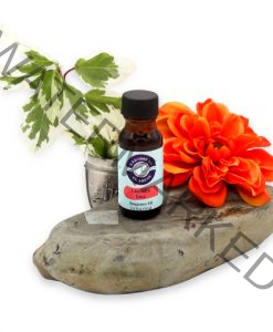 Lavender Lace Fragrance Oil 1/2 oz.