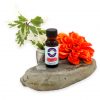 Orgasmic Blast Fragrance Oil 1/2 oz.