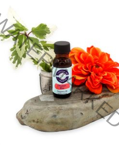 Orgasmic Blast Fragrance Oil 1/2 oz.