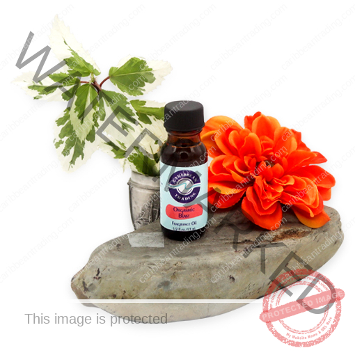 Orgasmic Blast Fragrance Oil 1/2 oz.