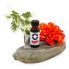 Sandalwood Trail Fragrance Oil 1/2 oz.