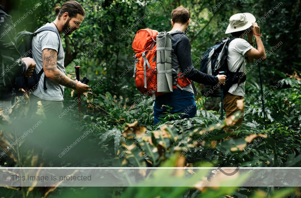 hiking in puerto rico