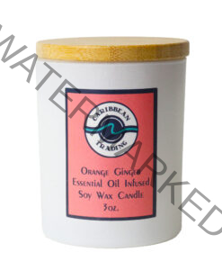 Orange Ginger 3oz. Candle