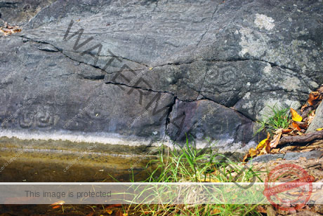 Taino Petroglyphs Puerto Rico