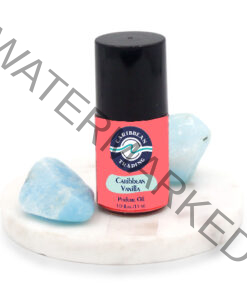 premium-grade-perfume-oil-caribbean vanilla