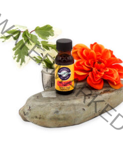 premium-grade-fragrance-oil-pina-colada-party