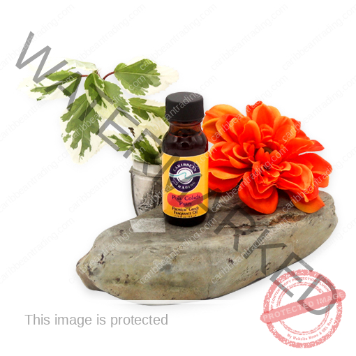 premium-grade-fragrance-oil-pina-colada-party