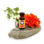 premium-grade-fragrance-oil-seven-chakras