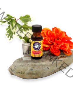 premium-grade-fragrance-oil-seven-chakras