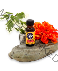 Surfing-Safari-Premium-Fragrance Oil