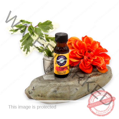 Surfing-Safari-Premium-Fragrance Oil