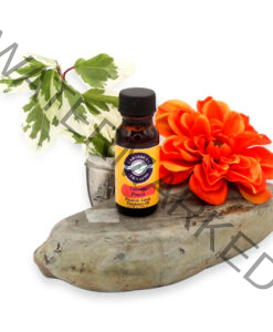 Talisman-Power-Premium-Fragrance Oil