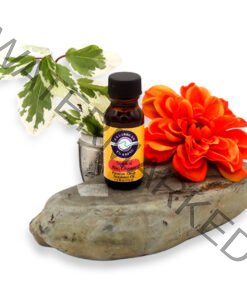 premium-grade-fragrance-oil-tropical-nag-champa