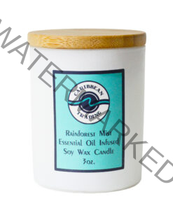Rainforest Mist 3oz. Soy candle